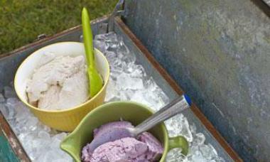 Познавательная история появления мороженого Где впервые появилось мороженое