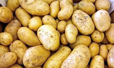 История картофеля на руси Где появилась картошка первый в мире